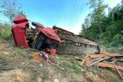 Caminhão carregado com gado tomba