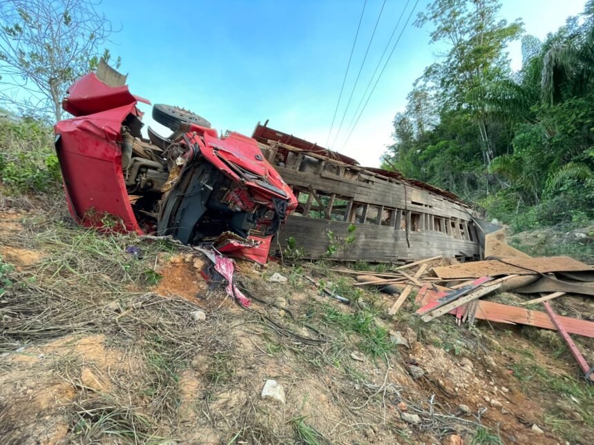 Caminhão carregado com gado tomba