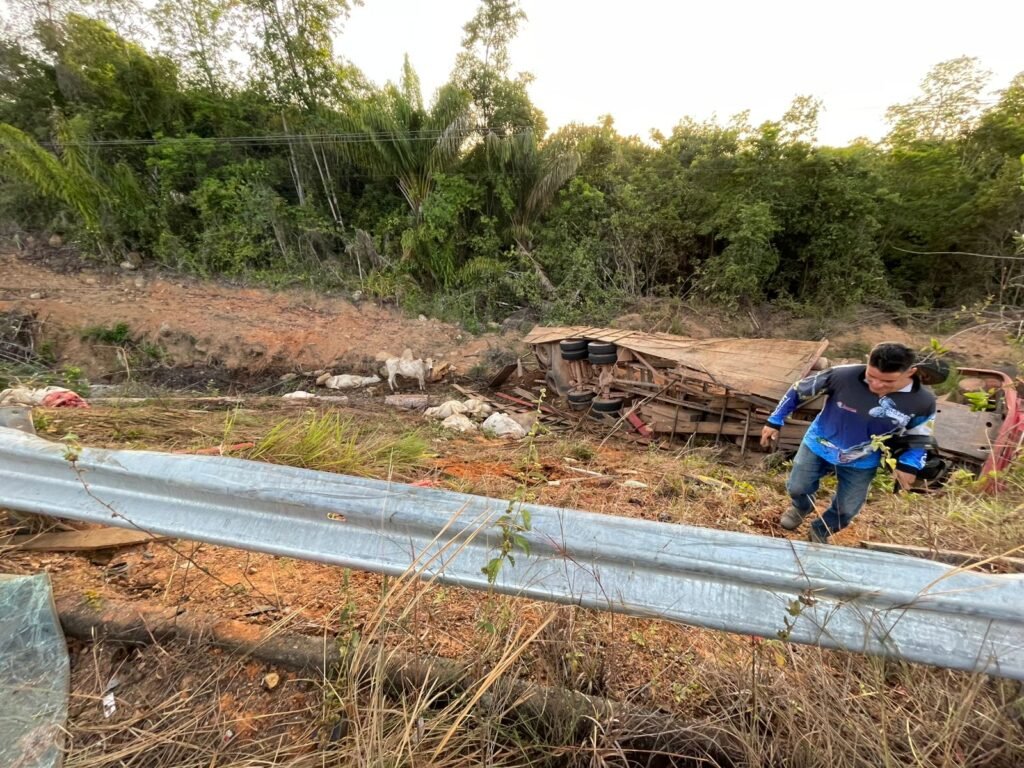 Caminhão carregado com gado tomba