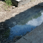 Alunos estão incomodados com mau cheiro na zona rural de boa vista