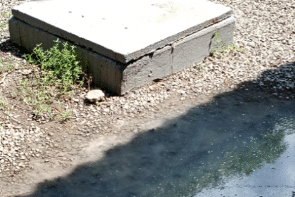 Alunos estão incomodados com mau cheiro na zona rural de boa vista