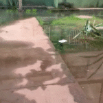 Esgoto estourado em Boa Vista gera revolta