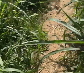 Homem encontrado sem vida no Morro da Sacola