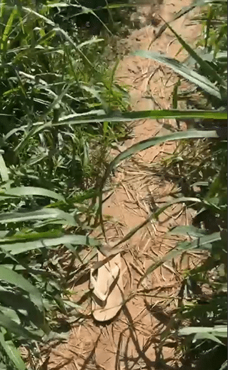 Homem encontrado sem vida no Morro da Sacola