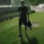 Ponto de lanche é furtado em Boa Vista