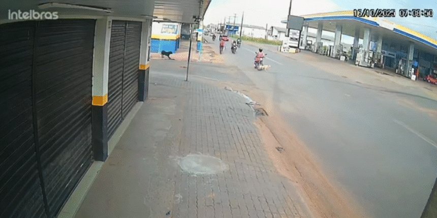 Moto pega fogo no bairro Canaã após atropelar cachorro