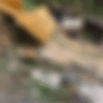 Corpo de homem é encontrado envolvido em colchão. Polícia Civil investiga o caso