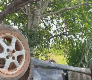 Acidente na BR-174 deixa vítimas