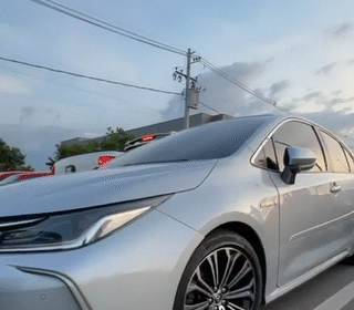 fake news sobre evento de grau revolta organizadores