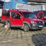 Perseguição na BR-174 termina em apreensão