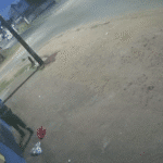 Tentativa de invasão no cambará