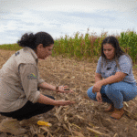 Processo seletivo do Iater em Roraima