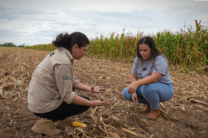 Processo seletivo do Iater em Roraima