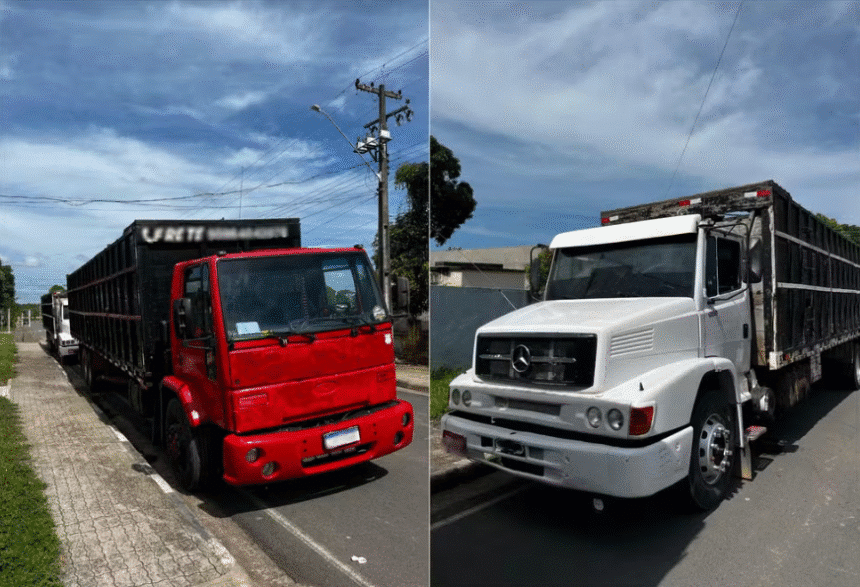 Grupo de falsos policiais tentam roubar animais