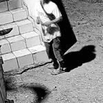 Furto de tubulação em clínica de fisioterapia no bairro Santa Tereza