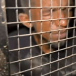 Assalto no bairro Liberdade