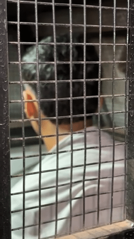 Prisão com skank em Boa Vista