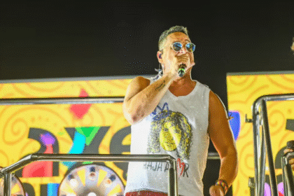 Xanddy Harmonia internado