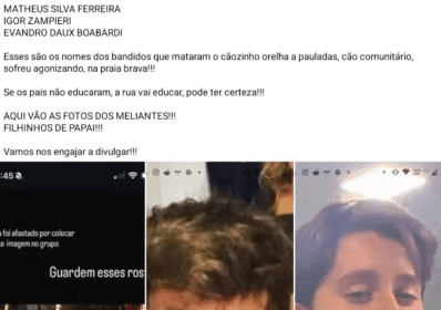 assassinos do cachorro orelha