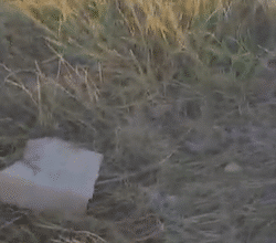 acidente com veículo que transportava estudantes em Pacaraima