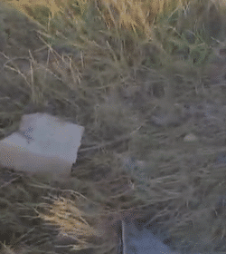 acidente com veículo que transportava estudantes em Pacaraima