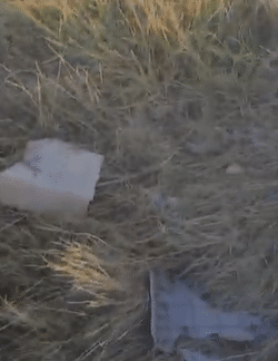 acidente com veículo que transportava estudantes em Pacaraima