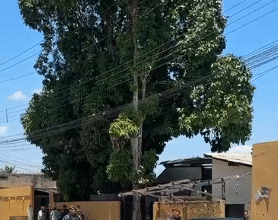 Imagens do duplo homicídio no bairro Asa Branca
