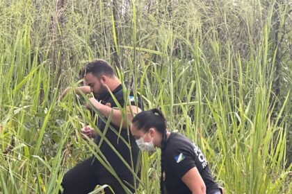 Homicídio da adolescente em Rorainópolis