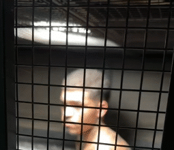 Jovem com deficiência auditiva preso por furto