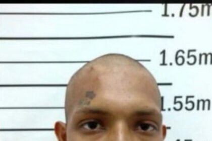 Recaptura de Corolla em Boa Vista