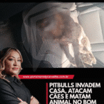 ataque de pitbulls no Bom Intento