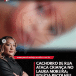 Criança atacada por cachorro no Laura Moreira