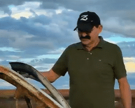 Forró solidário para Zerbine Araújo