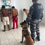 operação canil da pm