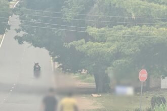 Médico preso em Boa Vista por tráfico internacional