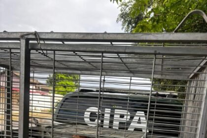 Abuso de cadela em Boa Vista
