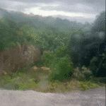 Desmoronamento na BR-174 entre Manaus e Boa Vista