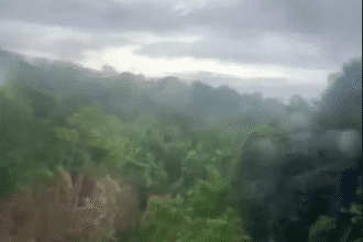 Desmoronamento na BR-174 entre Manaus e Boa Vista