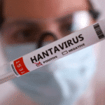 surto de hantavírus preocupa mundo