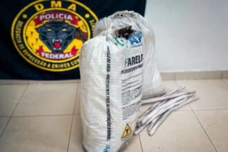 Mulher é presa com explosivos e quase 800 kg de produtos químicos destinados ao garimpo ilegal em Roraima