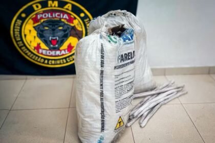 Mulher é presa com explosivos e quase 800 kg de produtos químicos destinados ao garimpo ilegal em Roraima