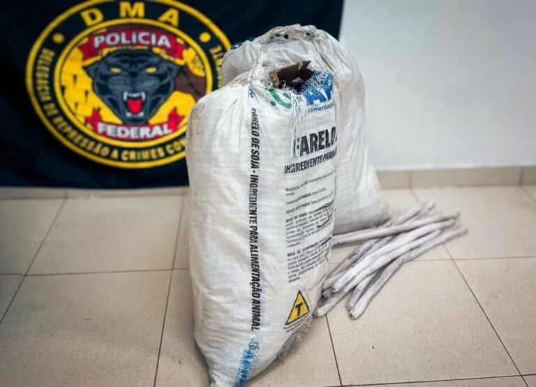 Mulher é presa com explosivos e quase 800 kg de produtos químicos destinados ao garimpo ilegal em Roraima