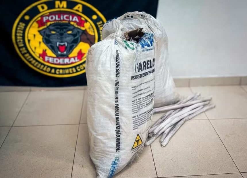 Mulher é presa com explosivos e quase 800 kg de produtos químicos destinados ao garimpo ilegal em Roraima