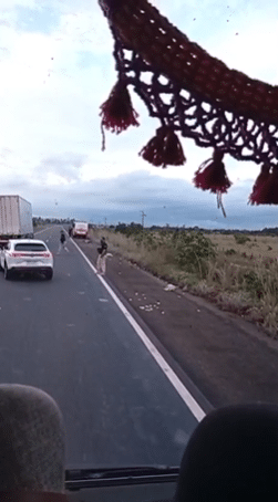 idoso atropelado por ônibus escolar em Boa Vista