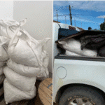375 kg de cianeto apreendidos na Raposa Serra do Sol