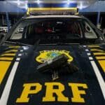 Operação Fronteira da PRF em Roraima