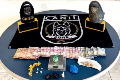 tráfico no cemitério clandestino