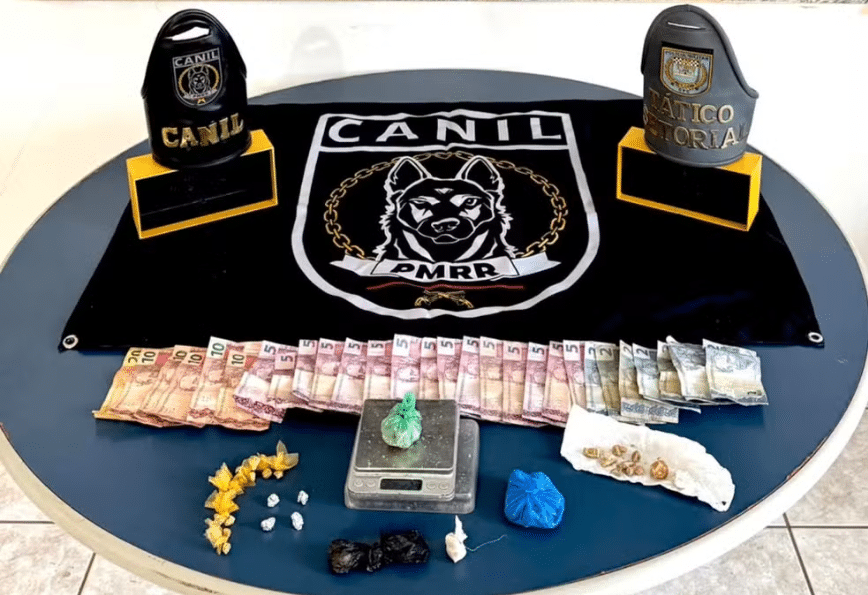 tráfico no cemitério clandestino